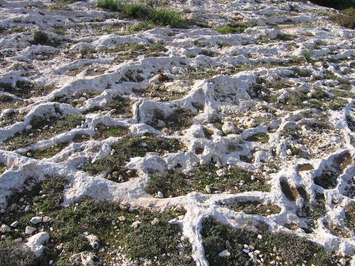 Micro ridges and crevices on the site Clapham Junction. Malta island. 