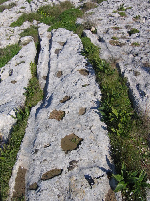 Traces of people (?) from the site San Guan (above) and San Pawl tat-Tagra, Naxxar (below)