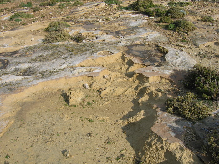 Armour crust and erosion of limestone 