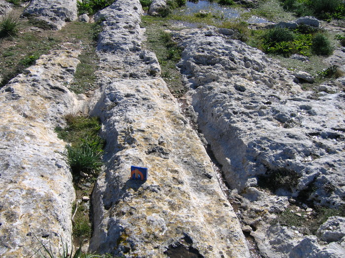 Malta island, scarps of Dingli cliff, 100 m to the east of chapel Madalena. H=250m