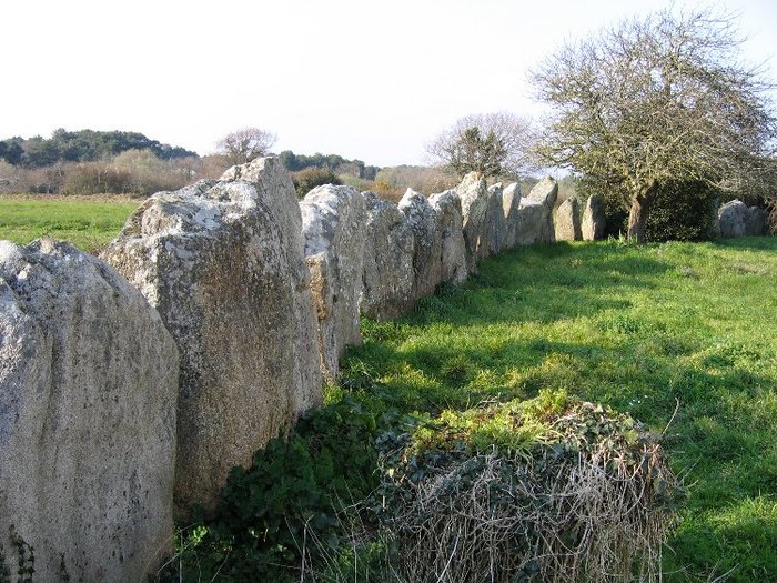 The fragment of a cromlech’s wall on the western extremity of le Menec alignments