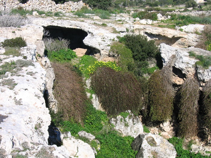 Cave Dwelling 
